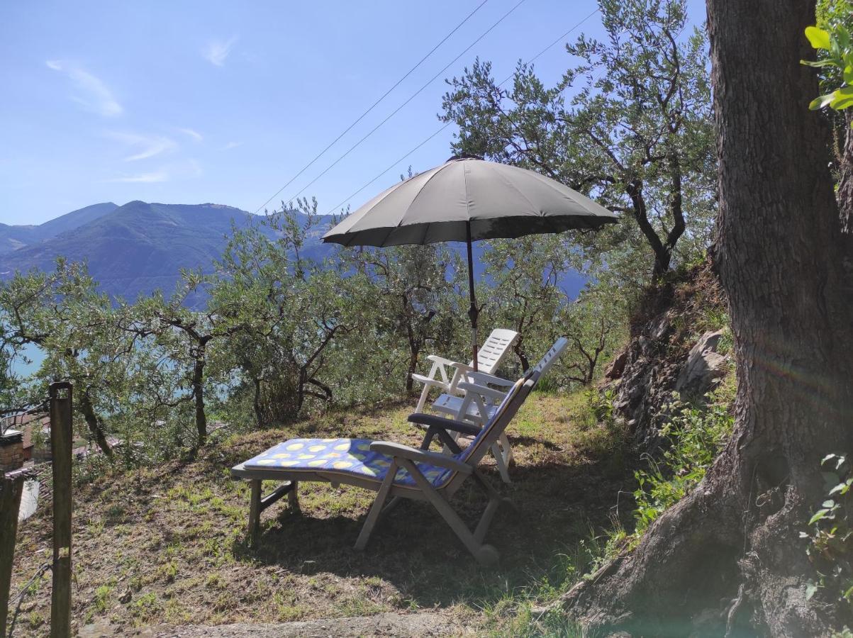 Casadolcelago Marone Villa Con Giardino Vista Lago Private Parking 外观 照片