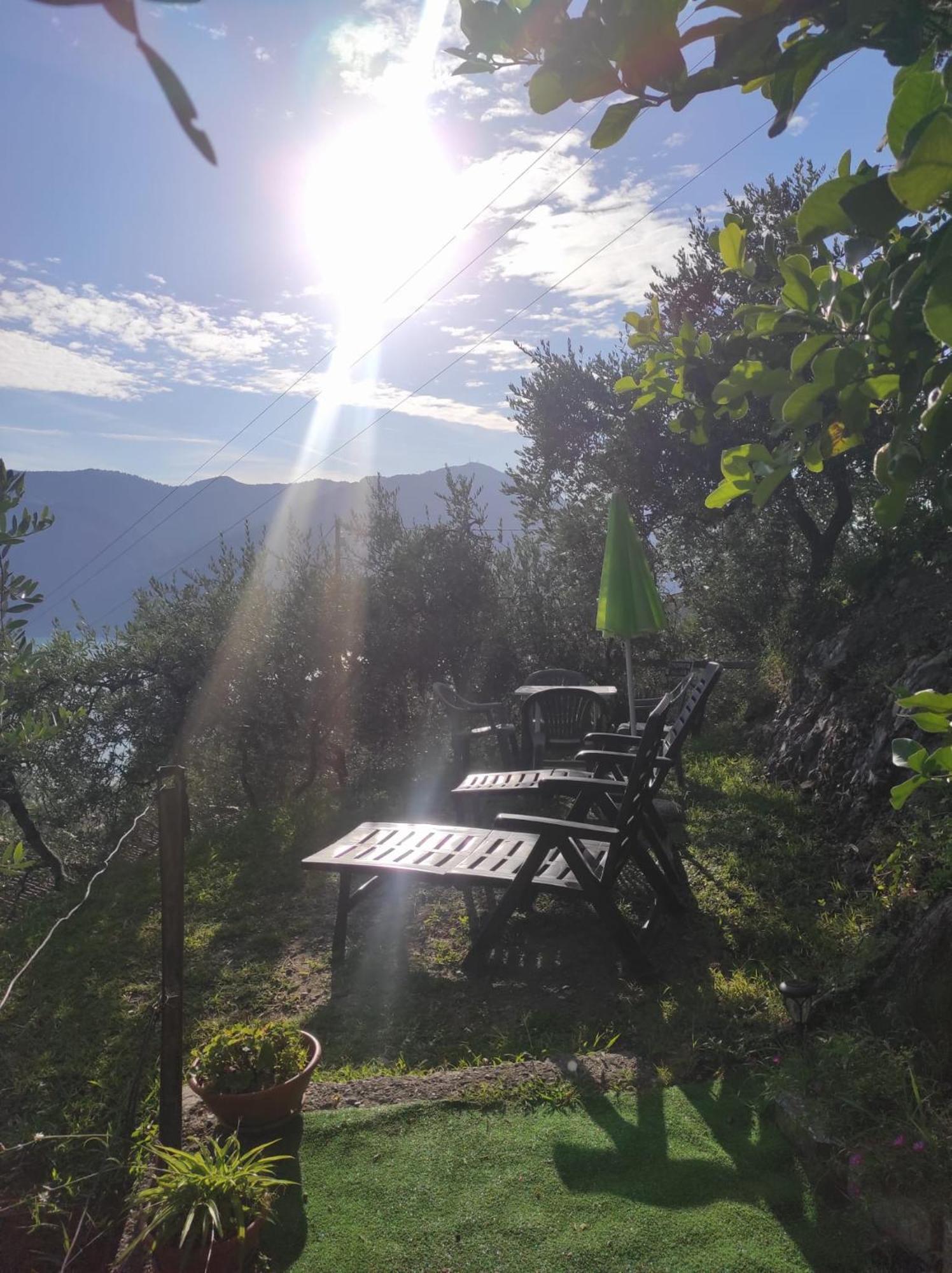 Casadolcelago Marone Villa Con Giardino Vista Lago Private Parking 外观 照片