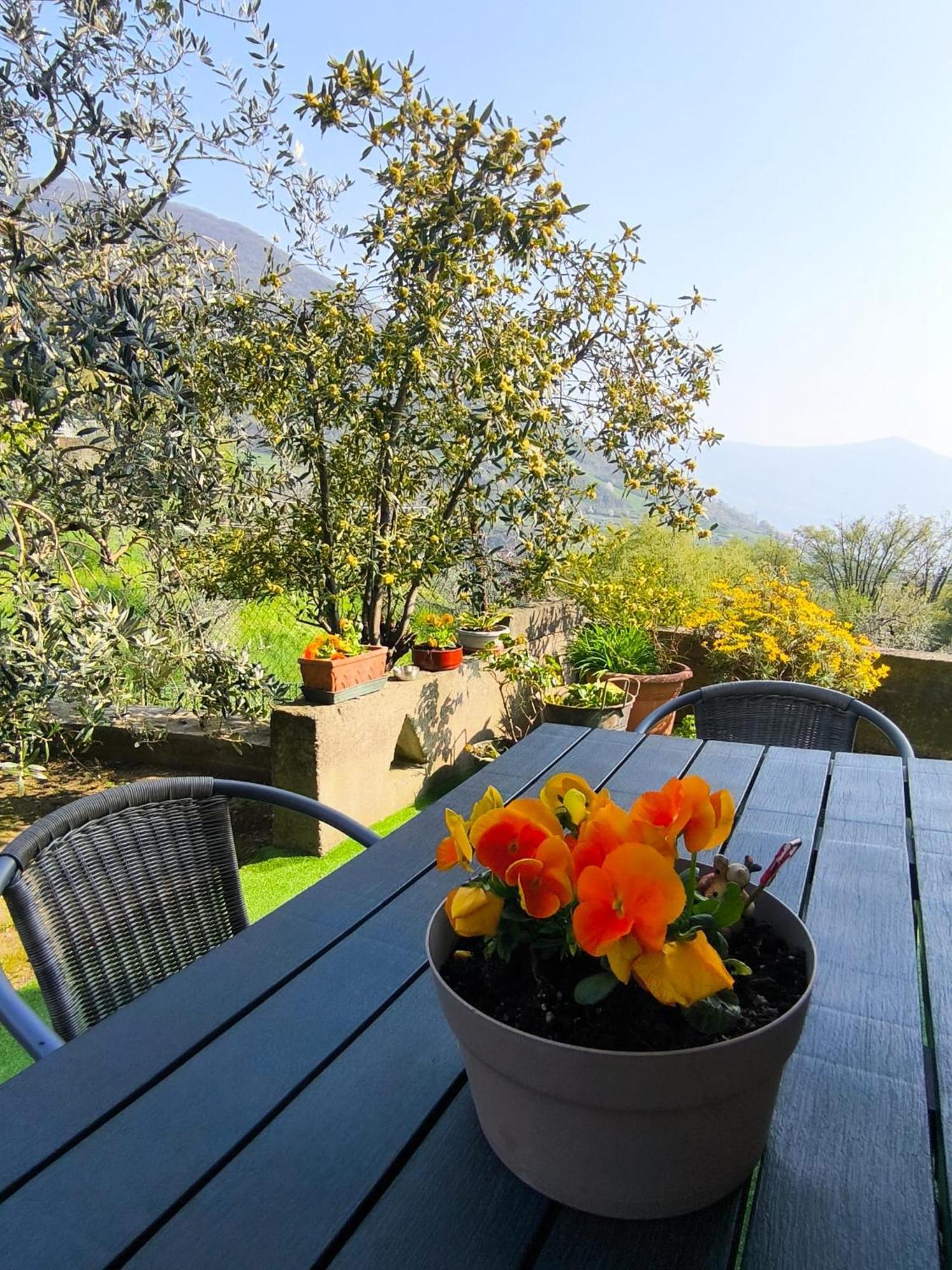 Casadolcelago Marone Villa Con Giardino Vista Lago Private Parking 外观 照片